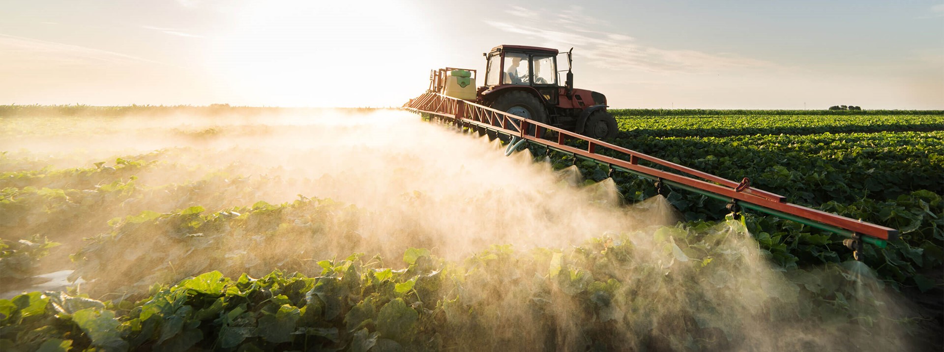 适用于搅拌化学物质的泵