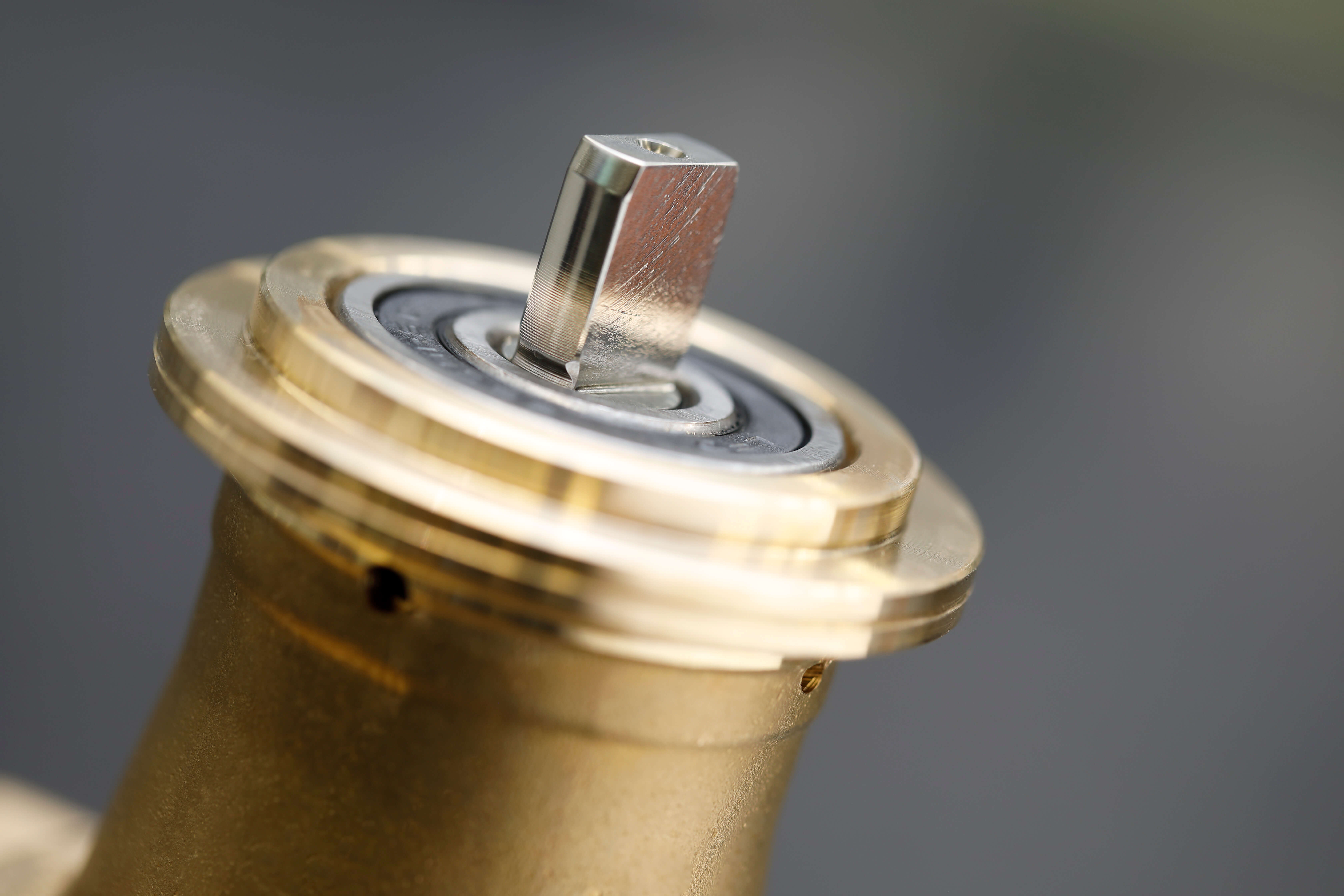 Positive displacement vane pumps with mechanical seal