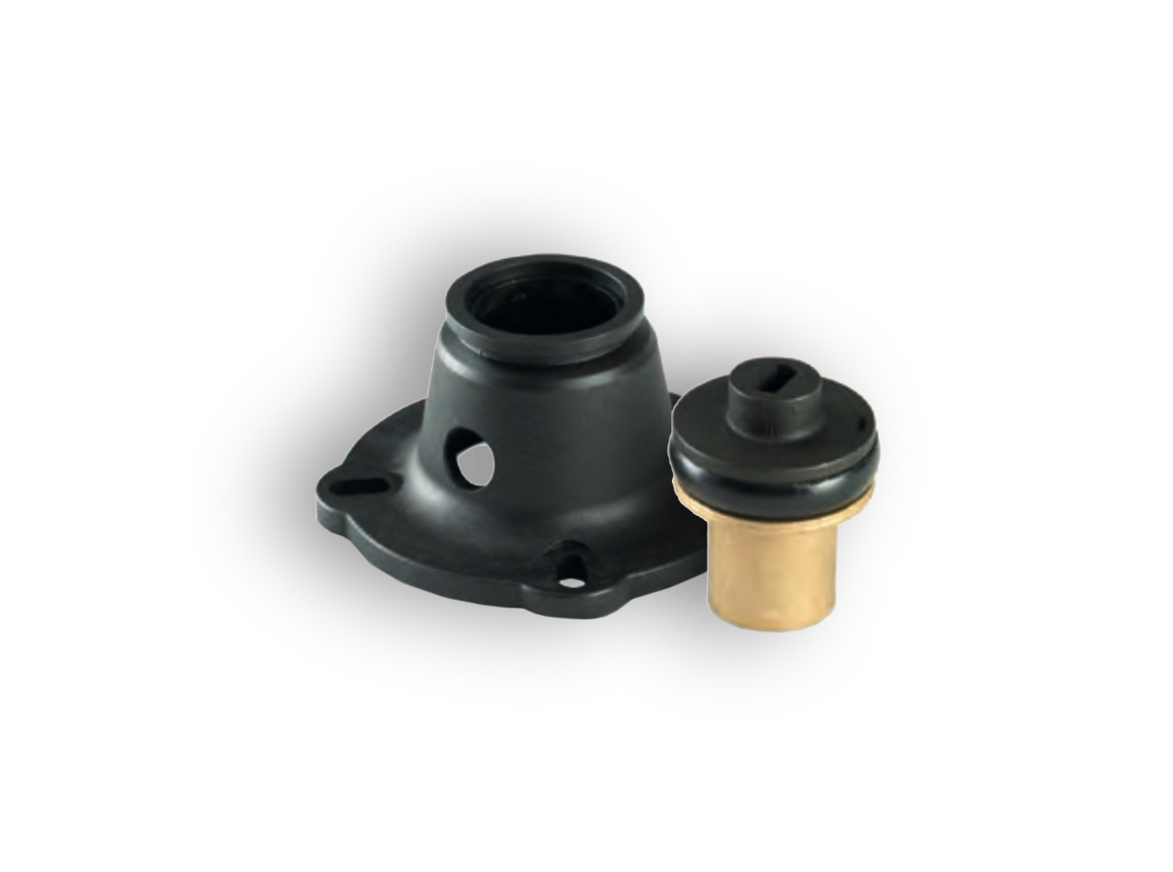 Couplings and adapters for pumps